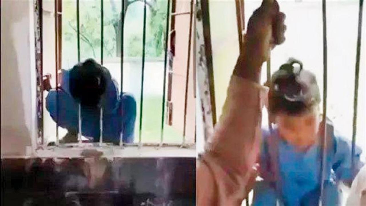 તસવીર સૌજન્ય : સોશ્યલ મીડિયા