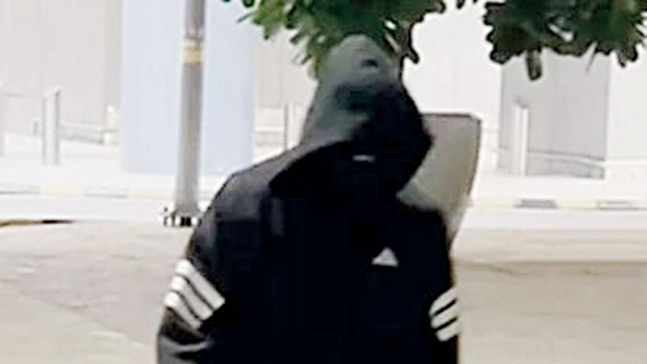 વાઈરલ તસવીર