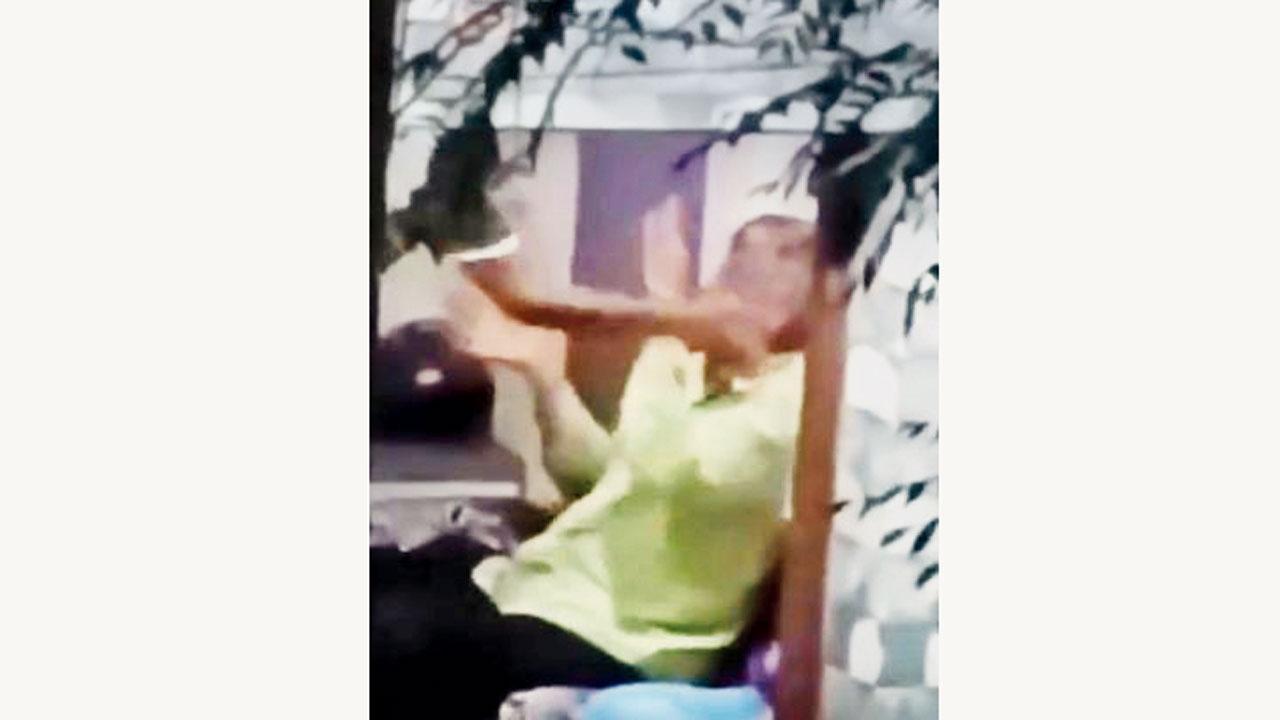 વાયરલ વીડિયોમાંથી સ્ક્રીન શૉટ