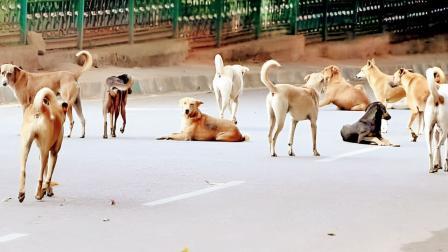 પ્રતીકાત્મક ફાઇલ તસવીર
