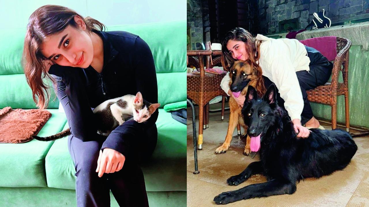 રાશાએ એક પોસ્ટ શૅર કરી છે જેમાં તેણે આ પ્રાણીઓ એલ્સા, આઝાદ અને બિલ્લુને રેસ્ક્યુ કરવાની ઘટના કહી છે