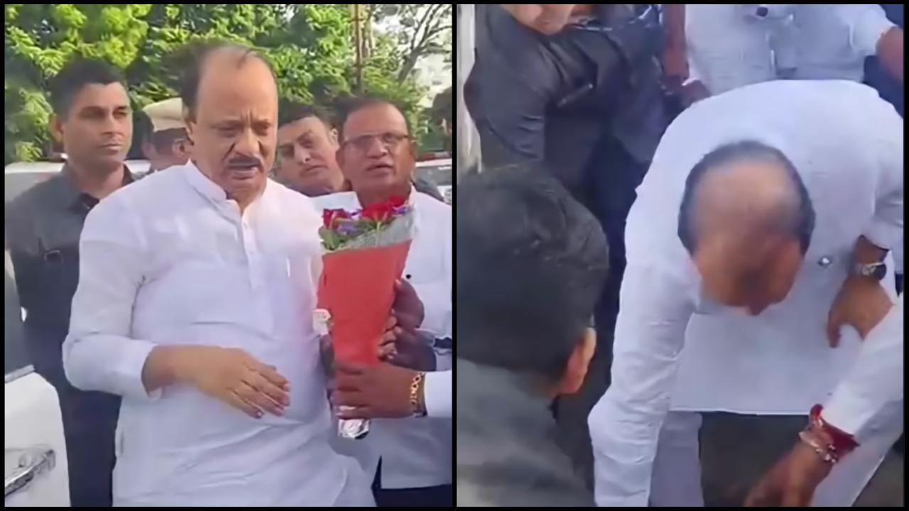 વાયરલ વીડિયોમાંથી સ્ક્રીન શૉટ (તસવીર: યુટ્યુબ)