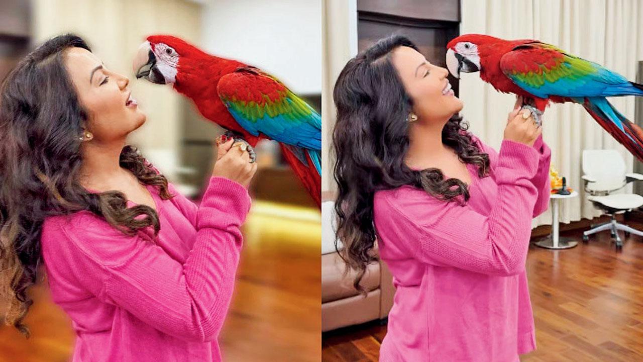 અમૃતા ફડણવીસ