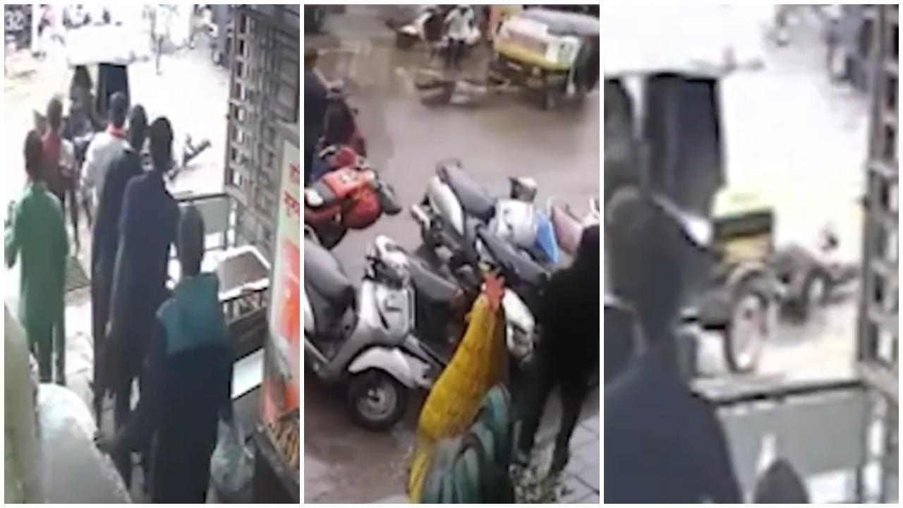 વાઈરલ વિડિયોમાંથી સ્ક્રીન શૉટ