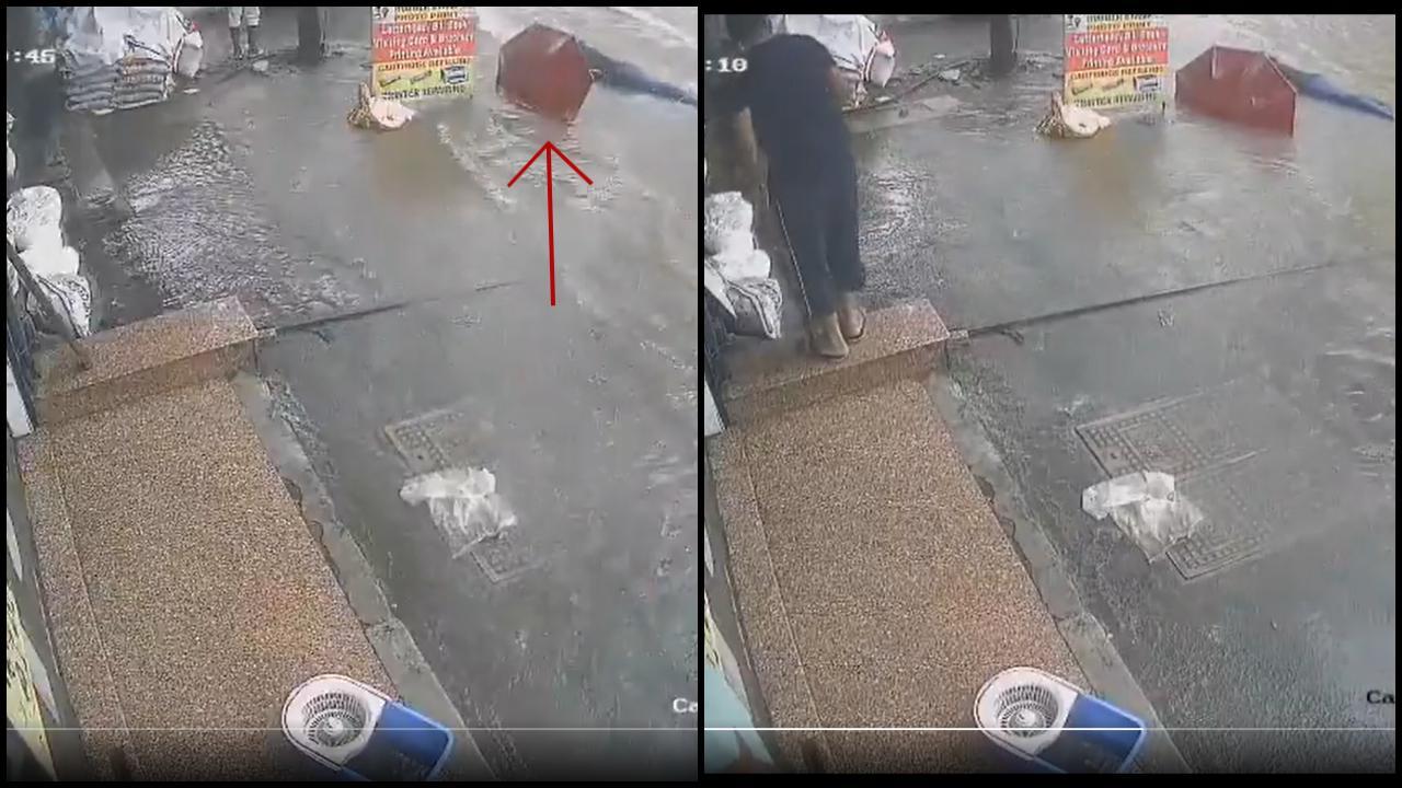 વાયરલ વીડિયોમાંથી સ્ક્રીન શૉટ (તસવીર: X)