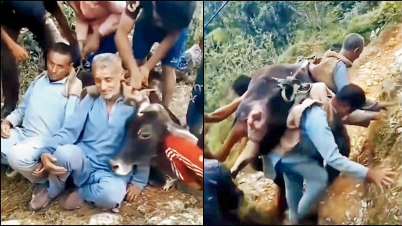 દયારામ અને લાલ સિંહ