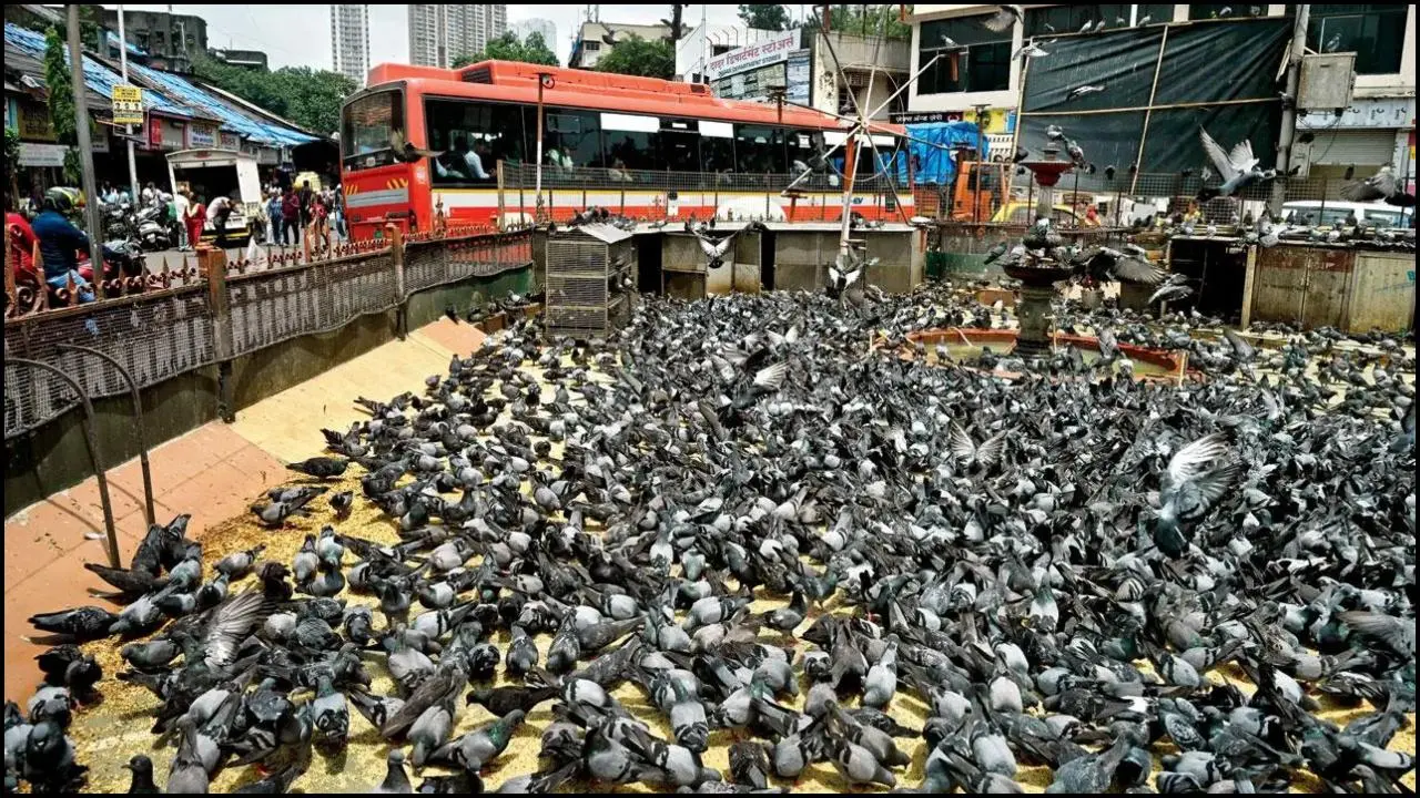 પ્રતિકાત્મક તસવીર (સૌજન્ય મિડ-ડે )