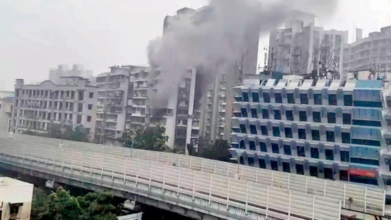 આગનો ગાઢ ધુમાડો દૂરથી જોઈ શકાતો હતો. તસવીર: નિમેશ દવે