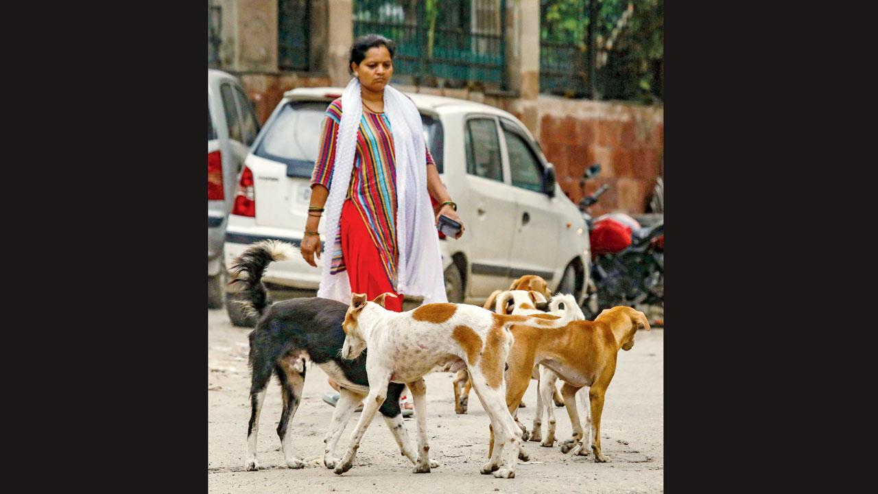 પ્રતીકાત્મક તસવીર