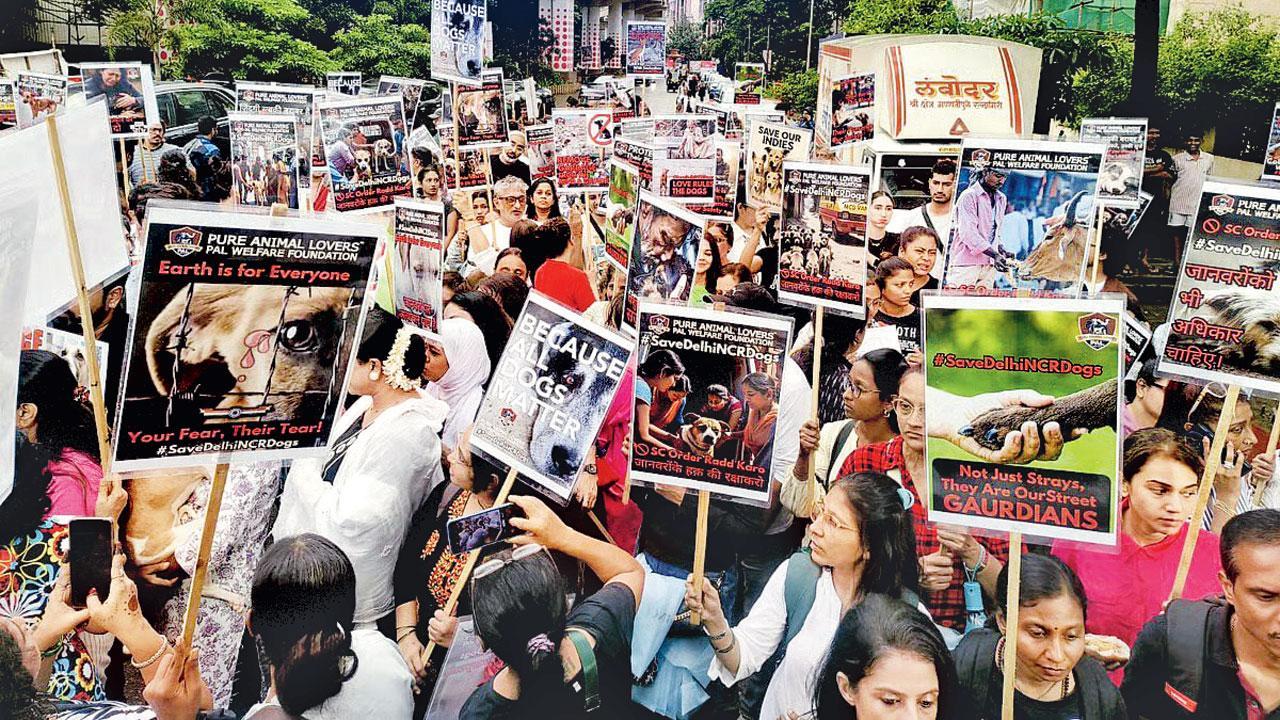 વિરોધ પ્રદર્શન કરી રહેલા પ્રાણીપ્રેમીઓ. 