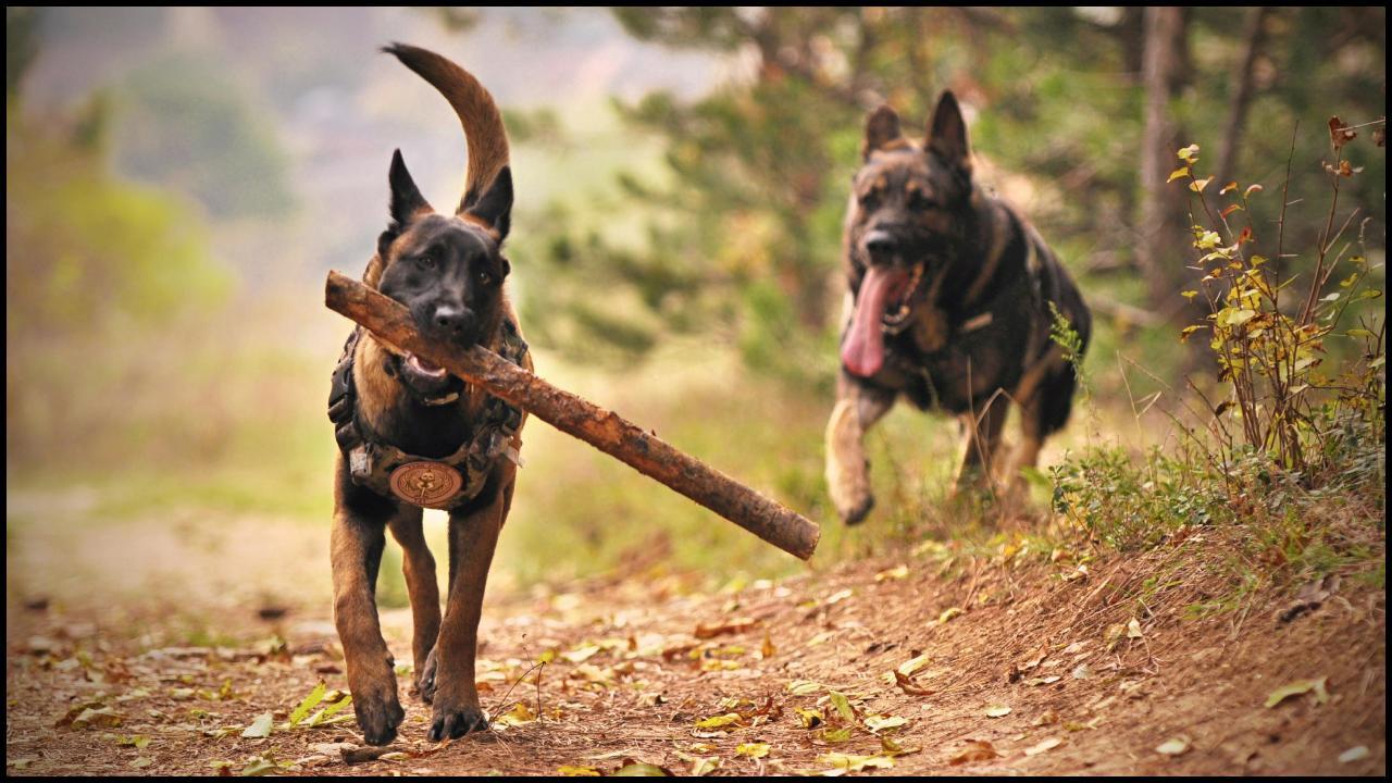 પ્રતિકાત્મક તસવીર: સૌજન્ય AI