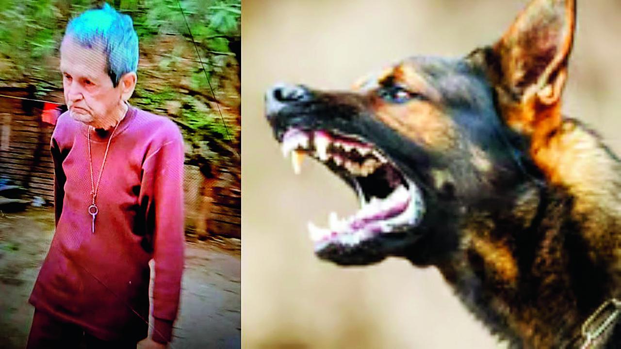 એક દાદા સાથે ખૂબ જ કરુણ ઘટના ઘટી