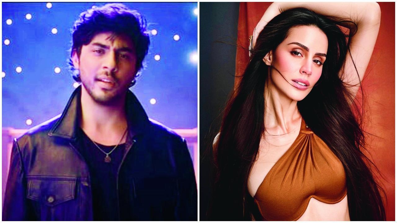 આર્યન ખાન, લરિસ્સા બોનેસી