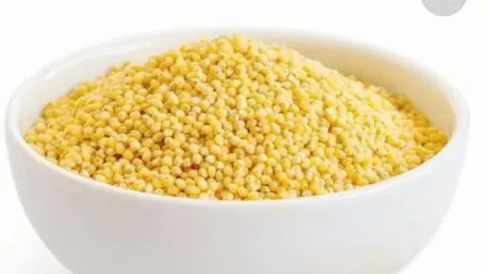 પ્રતીકાત્મક તસવીર