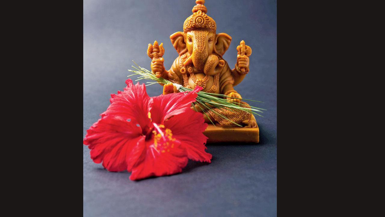 ગણપતિને અર્પણ થતા જાસૂદના ફૂલને નવા દૃષ્ટિકોણથી જાણી લો