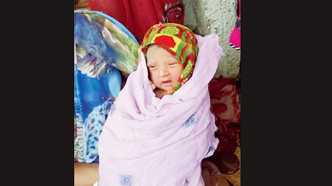 પ્રતીકાત્મક ફાઈલ તસવીર