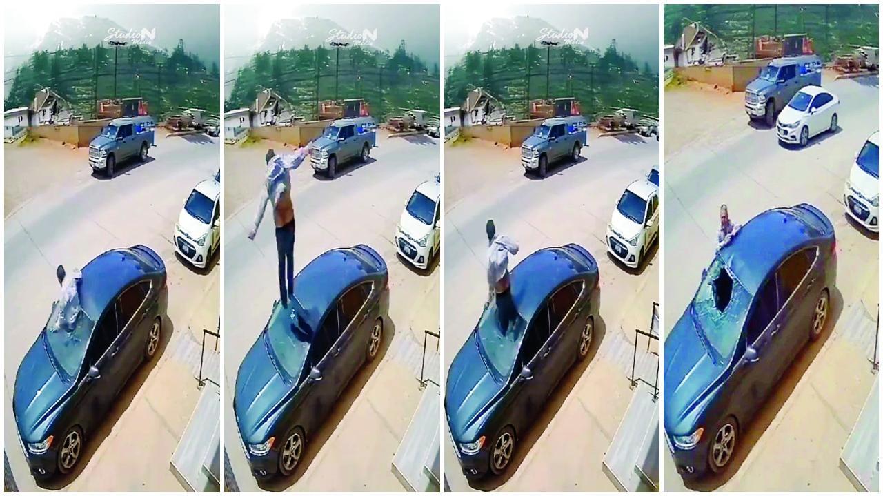 વાયરલ વીડિયોમાંથી સ્ક્રીન શૉટ