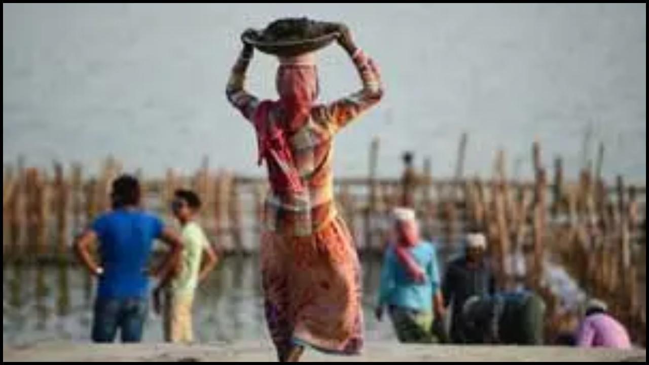 પ્રતીકાત્મક તસવીર