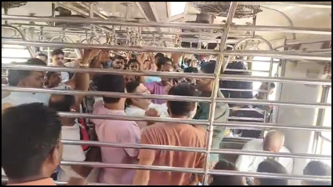 વાયરલ વીડિયોનો સ્ક્રીનગ્રૅબ (તસવીર સૌજન્ય: સોશિયલ મીડિયા)