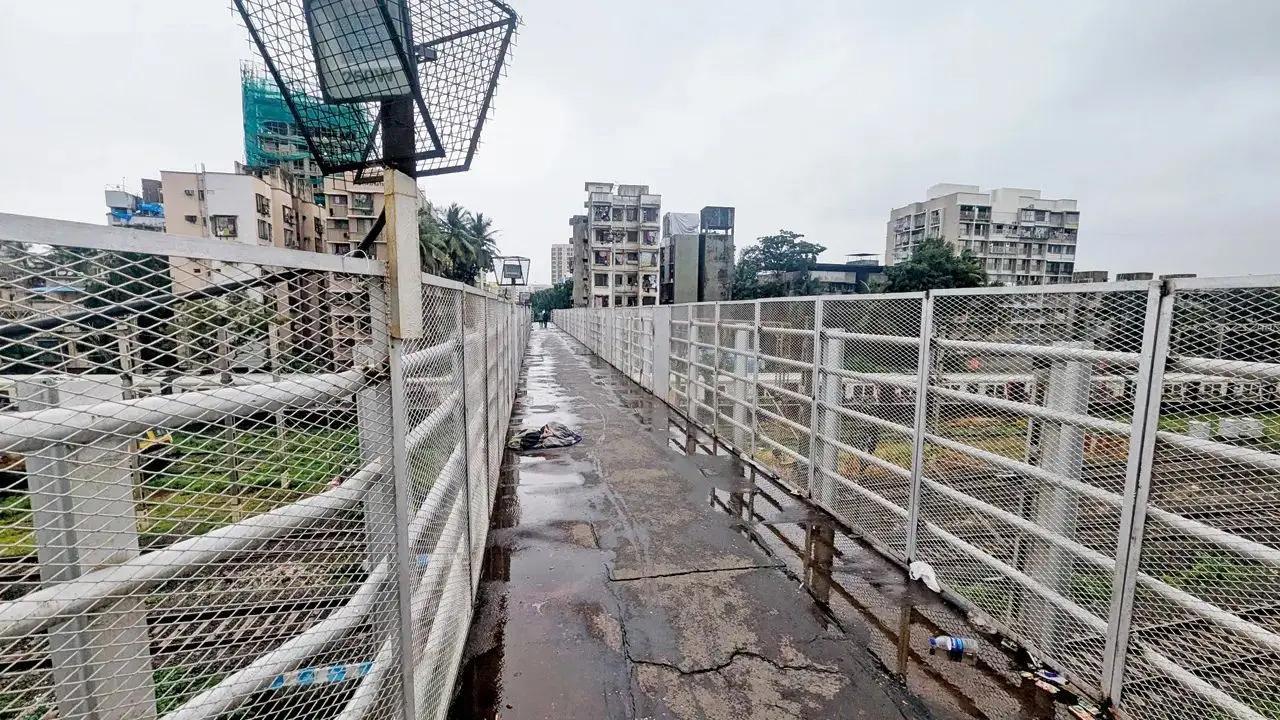 પ્રતીકાત્મક તસવીર