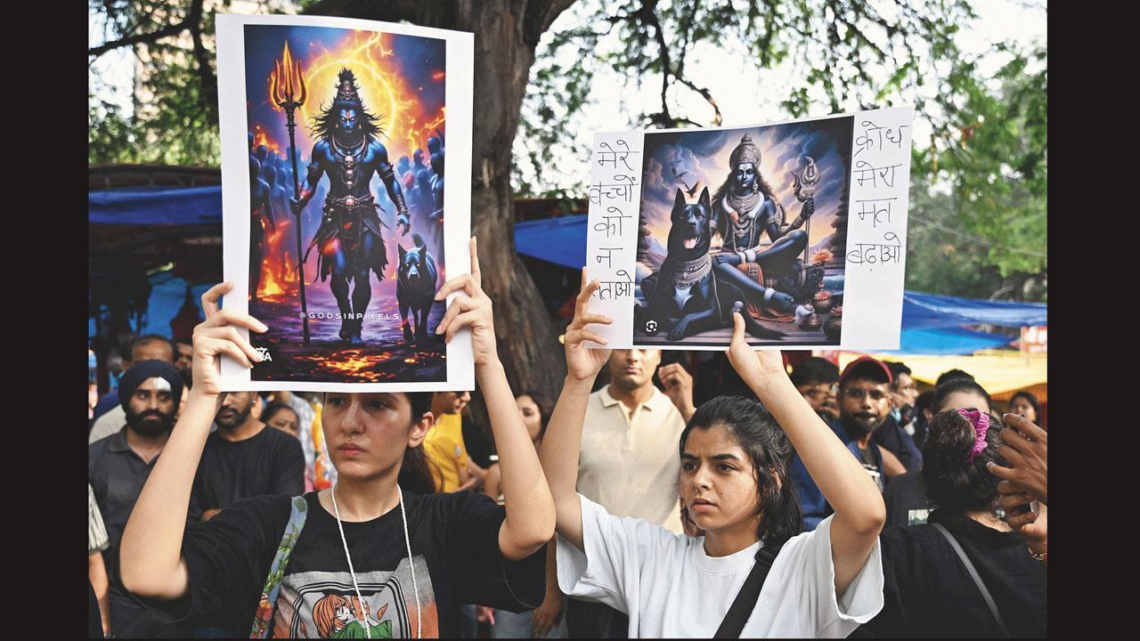 સુપ્રીમ કોર્ટના આદેશના વિરોધમાં પ્રાણીપ્રેમીઓ રાજધાનીમાં રસ્તાઓ પર ઊતરી આવ્યા હતા. પોસ્ટર્સ અને નારા દ્વારા  ઉગ્ર વિરોધ કરી રહેલા ૪૦ પ્રાણીપ્રેમીઓની દિલ્હી પોલીસે અટક કરી હતી.