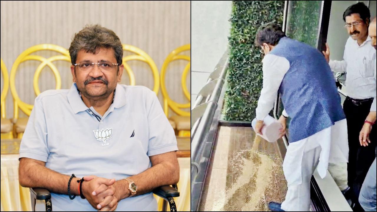 તેમની કૉર્પોરેટ ઑફિસની બાલ્કનીમાં ગઈ કાલે કબૂતરો માટે ચણ નાખી રહેલા ઘાટકોપર-ઈસ્ટના BJPના વિધાનસભ્ય પરાગ શાહ.