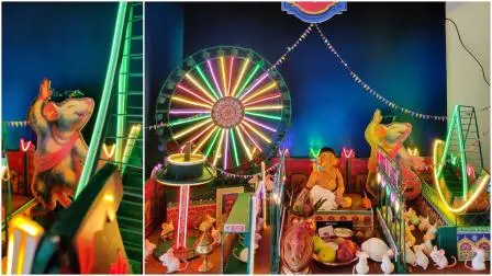 હાલો હાલો..... ઉંદરોના મેળે