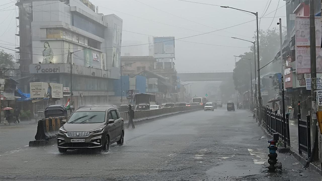 તસવીર સૌજન્ય : સતેજ શિંદે