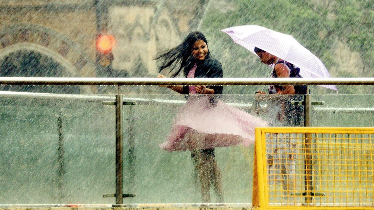 ફાઇલ તસવીર