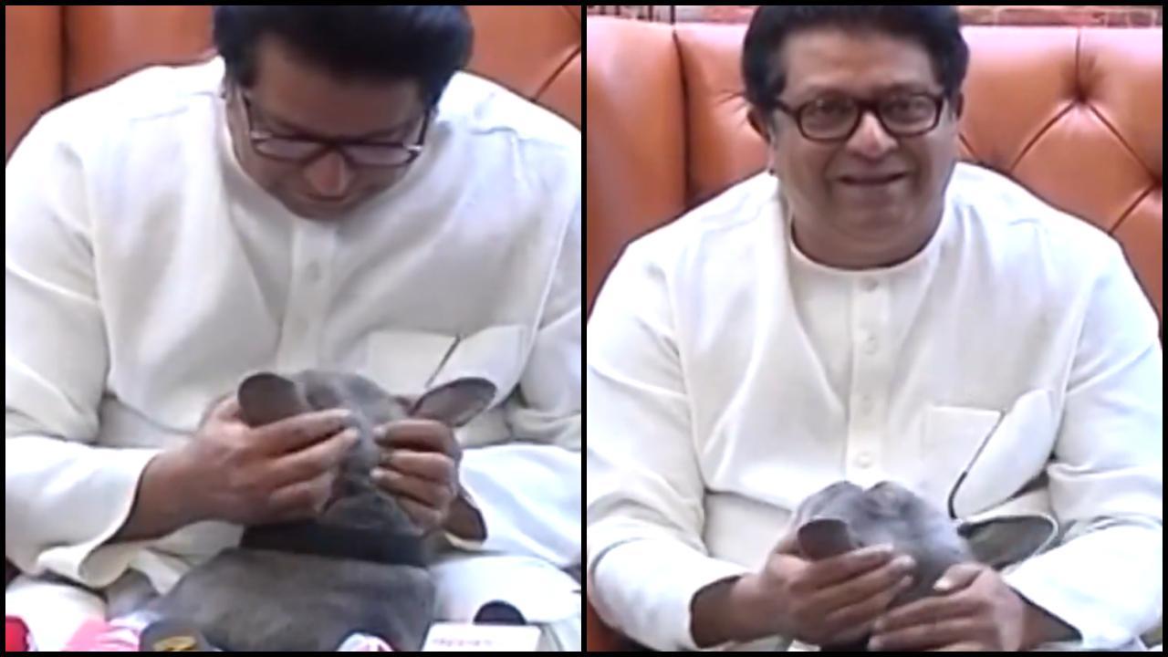 રાજ ઠાકરેના પ્રેસ કોન્ફનર્સમાં આવી ગયો રાઇનો (તસવીર: X)