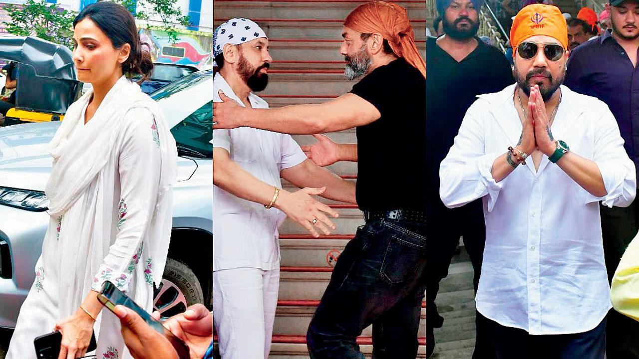 સ્ટાર્સ