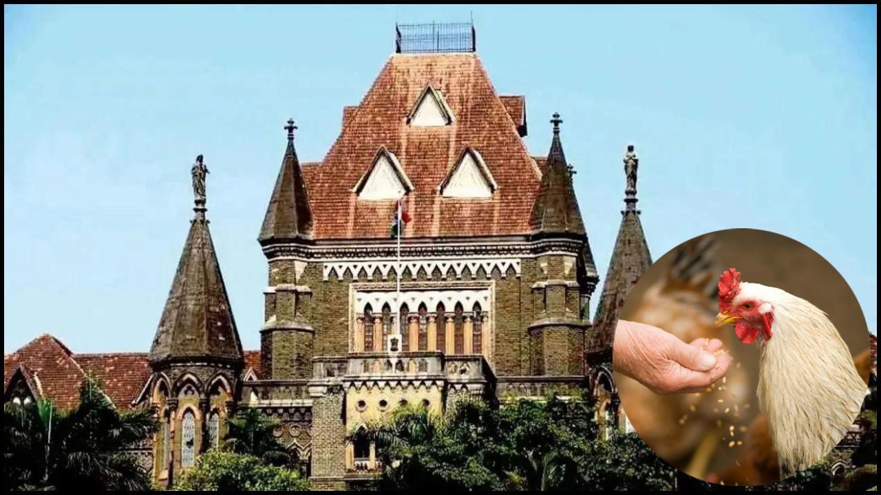 પ્રતિકાત્મક ફાઇલ તસવીર