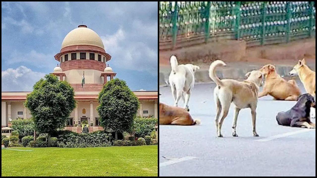 પ્રતીકાત્મક તસવીર (સૌજન્ય: મિડ-ડે)