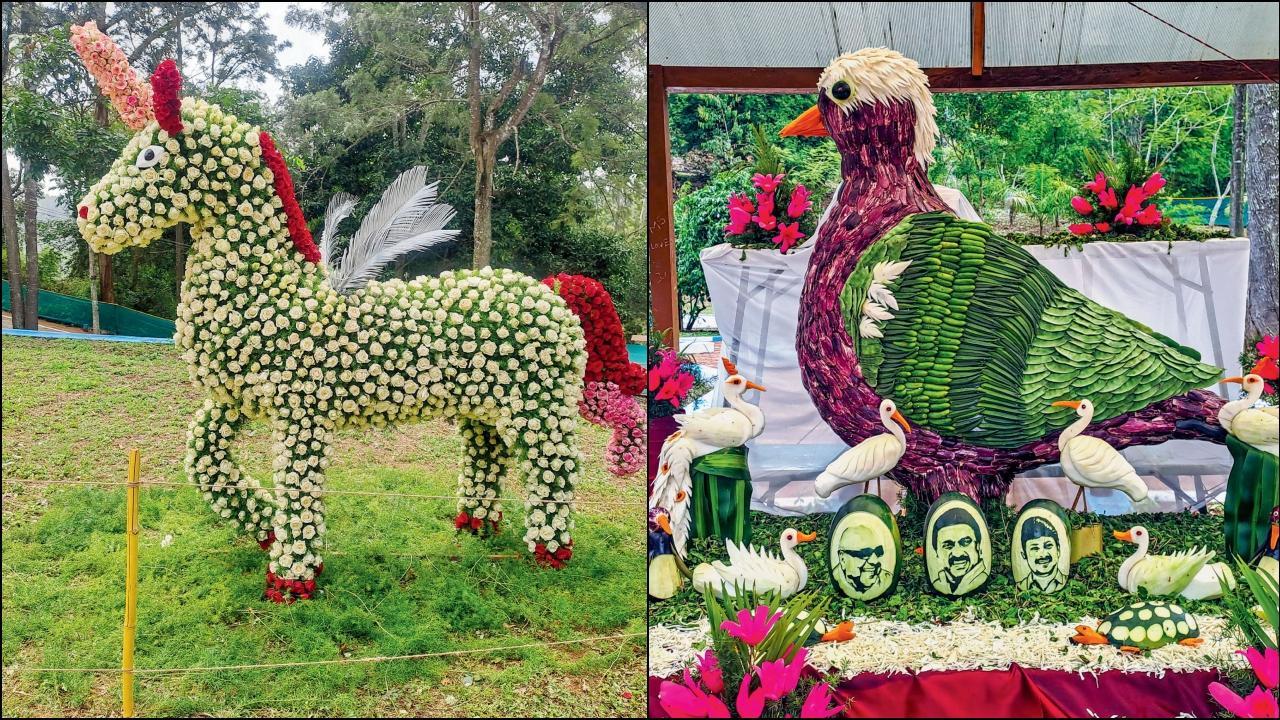 તામિલનાડુમાં ફળ અને ફૂલોનો અનોખો ફેસ્ટિવલ