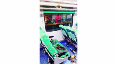 કોઈક પ્રવાસીએ સીટ બાળી નાખી હતી