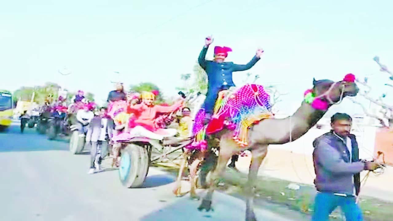 ઊંટગાડી