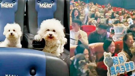 તસવીર સૌજન્યઃ સોશ્યલ મીડિયા