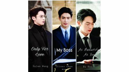 ‘CEO રોમૅન્સ’