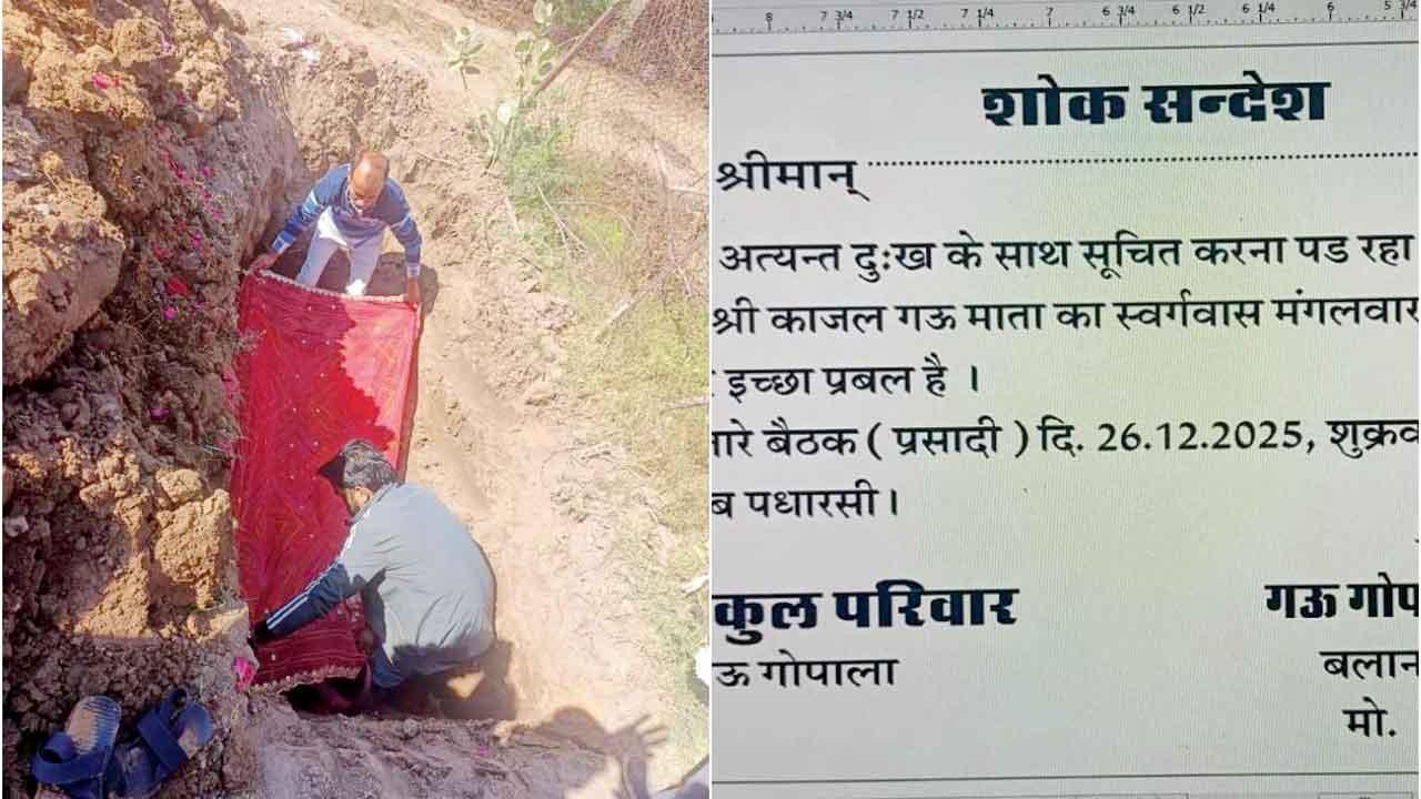 ગાયના મૃત્યુ પછી કાર્ડ છપાવીને શોકસભા-પ્રસાદીનું આયોજન કર્યું