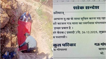 ગાયના મૃત્યુ પછી કાર્ડ છપાવીને શોકસભા-પ્રસાદીનું આયોજન કર્યું