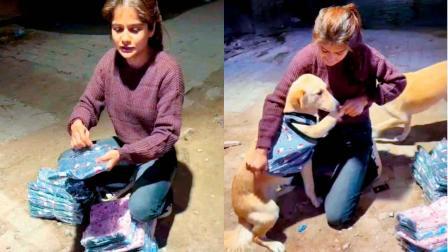 ઠંડીમાં રખડતા સેંકડો કૂતરાઓને આ કન્યા કપડાં પહેરાવે છે