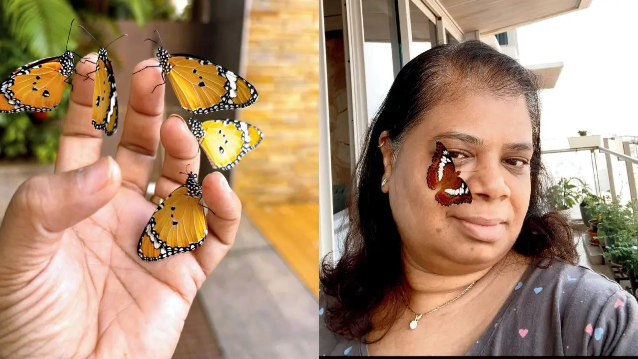 નેહા વોરા