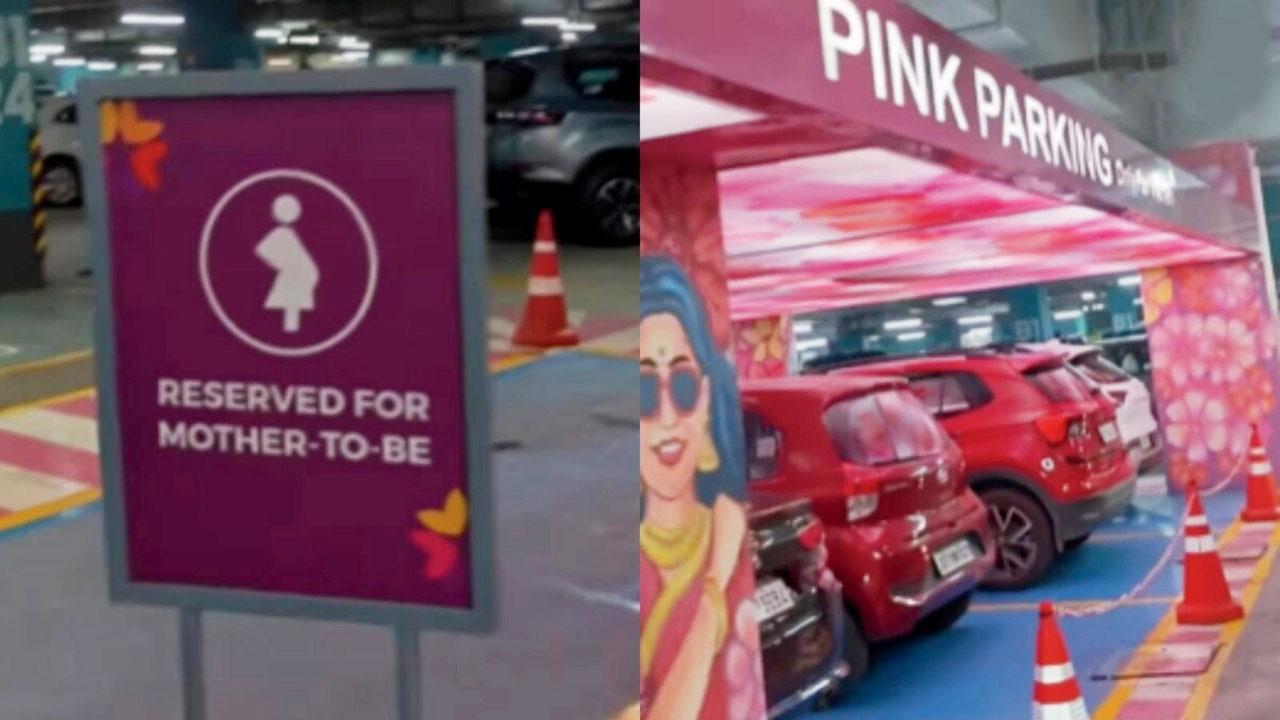 વાઇરલ વિડીયોમાંથી સ્ક્રીનશૉટ