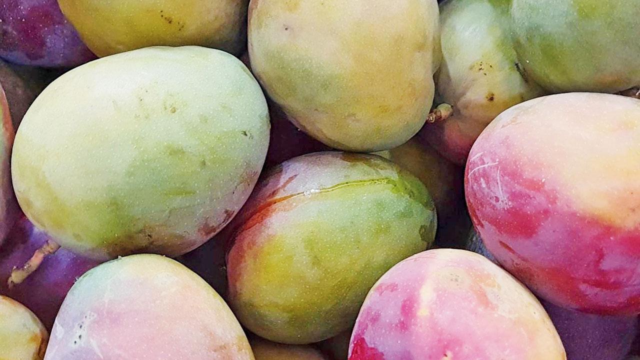 ટૉમી ઍટકિન્સ