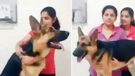 પાળેલો શ્વાન લાંબા સમયથી બીમાર રહેતો હોવાથી બે બહેનોએ ડિપ્રેશનમાં ફિનાઇલ પીને મોત વહાલું કરી લીધું