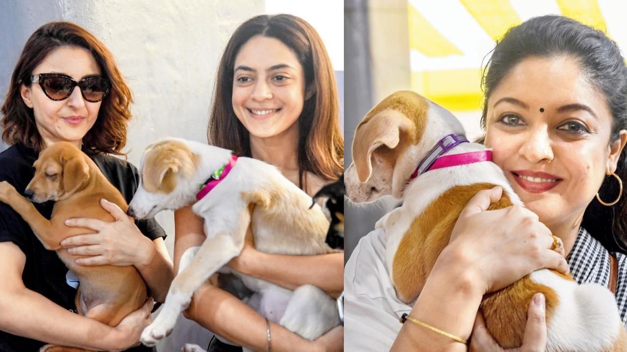 સોહા અલી ખાન, આન્યા સિંહ અને તનુશ્રી દત્તા