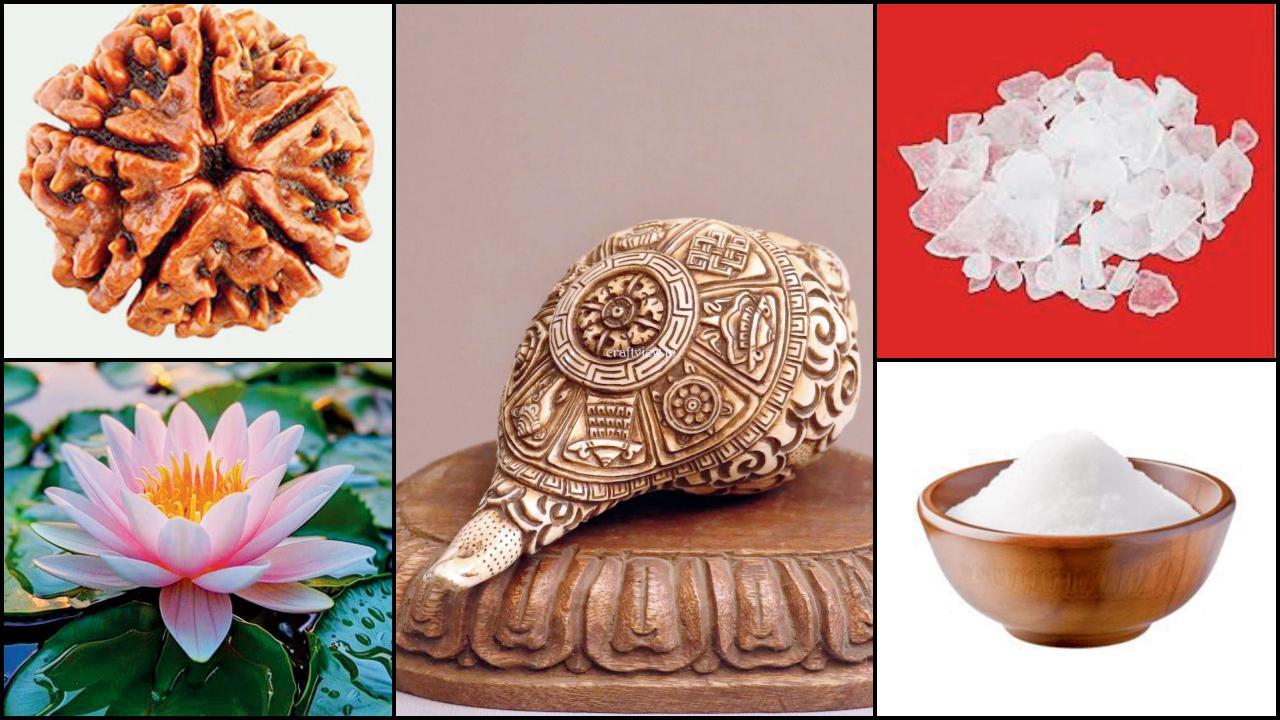 પ્રતિકાત્મક તસવીર