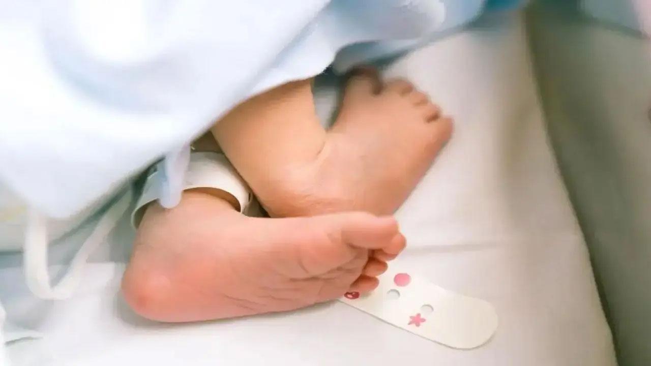 પ્રતીકાત્મક તસવીર