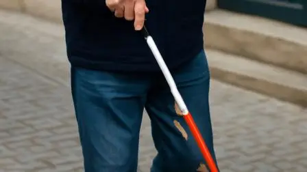 પ્રતીકાત્મક તસવીર (તસવીર સૌજન્યઃ એઆઇ)