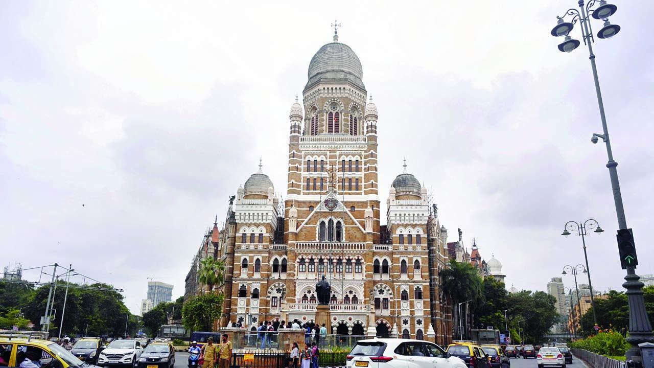 બીએમસીની પ્રતીકાત્મક તસવીર